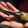 lucanus7のブログ