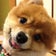 のんびり気ままに・・・☆