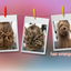 画像 Fun.hairarrange　沖縄ヘアセット、沖縄ヘアアレンジ、ヘアセットのユーザープロフィール画像