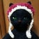 秘密結社の猫会議