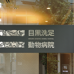 目黒洗足動物病院　スタッフブログのプロフィール