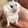 ほっぺデイズ/セレブ主婦の気まぐれブログ