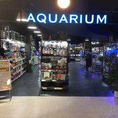 kojima-honmoku-aquaのプロフィール