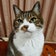 猫と奈緒の毎日