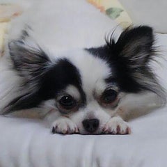 りんさんのプロフィール