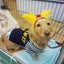 クレールのサムネイル