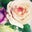 Anemoneのブログ