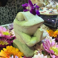 あみんごのプロフィール