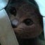 たまポンのサムネイル