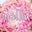 *Flower mellia* 春日井市多治見市フラワーアレンジメント、プリザーブドフラワー教…