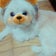 犬♡猫♡畑♡清貧を楽しむデザート世代