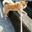 ﾊｲﾃｲﾂﾓ☆のサムネイル