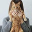 画像 ねこインテリアBOOK～猫4匹と心地よい大人のひとり暮らしのユーザープロフィール画像