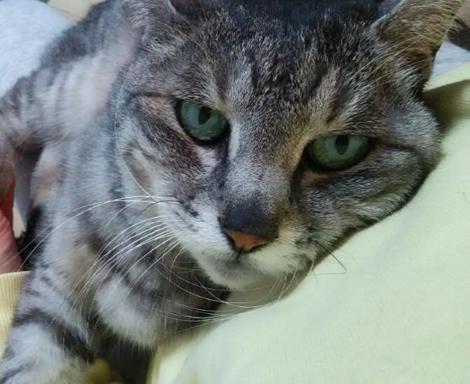 症状