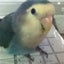 さちべいのサムネイル