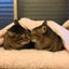 lovelymeimoaのサムネイル