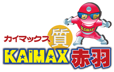 中山美穂 LD レザーディスク 2枚セット KAIMAX赤羽 質店 買取店 ミニ 8cm CD ZARD 中山美穂 他 まとめ