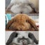ともkのサムネイル