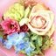 画像 Yu-kka-Rose～薔薇と小鳥と箱庭《ﾍﾟﾝ画&Antiqueﾚｼﾞﾝ＆大人ｽｲｰﾂﾃﾞｺ》のユーザープロフィール画像