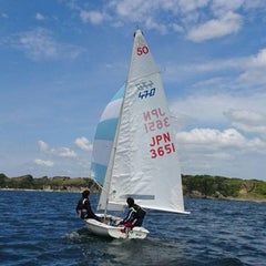 Sailing Report Of Wildjibe Sailing Report Of Wildjibe