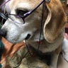 のぼるのプロフィール