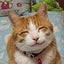 華のサムネイル
