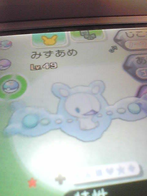 人によっては得して人によってはどうでもいいポフレの話 にわかポケモン厨のポケモン記