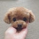 ふわまま（fuwamama）のおすすめのサムネイル
