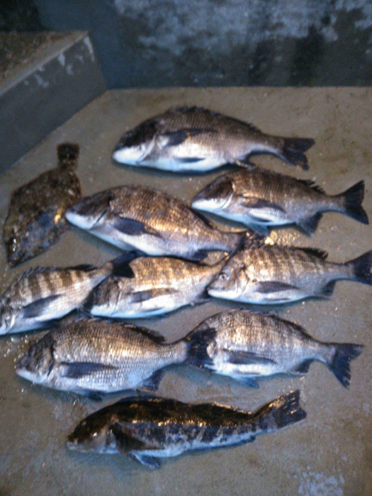 閑話休題 釣りの餌はコンビニにあり 自然派遠矢流 お手軽釣法 庄内海釣り徒然日記 閑話休題 釣りの餌はコンビニにあり 自然派遠矢流 お手軽釣法 庄内海釣り徒然日記