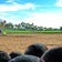 野球未経験者がたった3ヶ月で中学校大会 でNO1指導者になる甲子園流メソッド