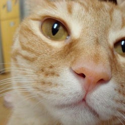 まえたに動物病院さんのプロフィールページ まえたに動物病院さんのプロフィールページ