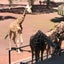 ママのサムネイル