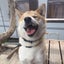 AKEMIのサムネイル