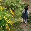 ヨークのサムネイル