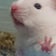 ささめゆき25の徒然日誌