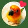 コガネメキシコインコのぴーちゃんの動画と写真を淡々と貼っていくブログ∈(oëo)∋
