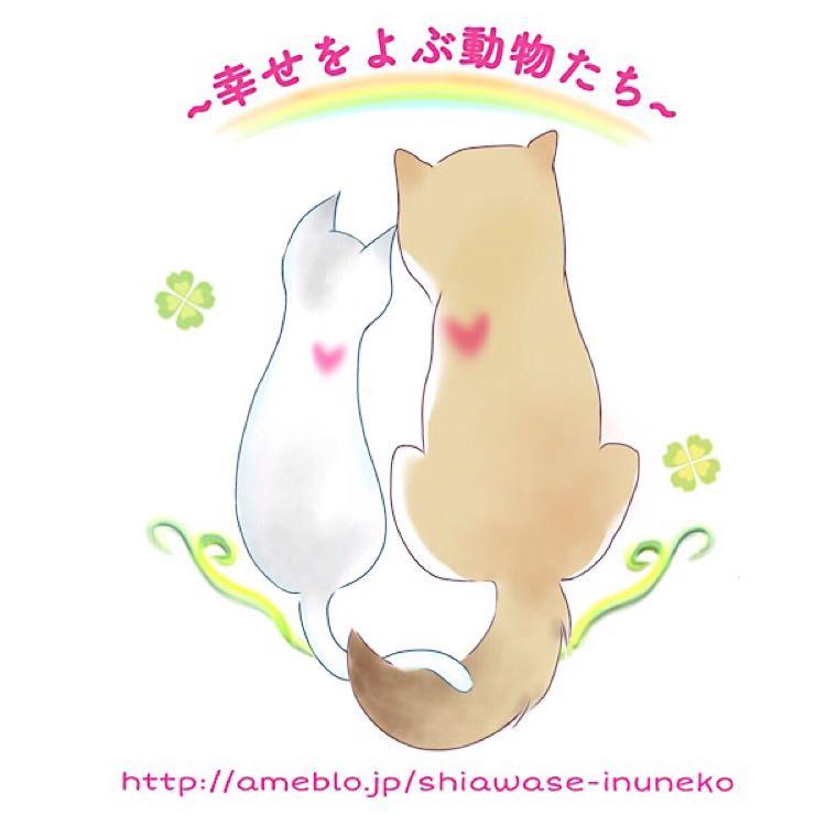 私の活動とは 一体 幸せをよぶ動物たち 愛媛犬 えひめけん