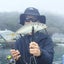 猫缶担当のサムネイル