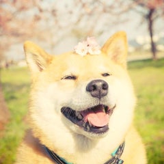 さっつんのプロフィール