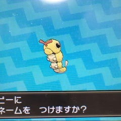 ポケモンサンムーン 物理アタッカーのキレイハナ 今からポケモンバトルしよ