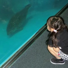 ヘアピンで完全二重になりました 痩せてる女は太ってる女をこう思っている