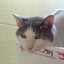 ハナのサムネイル