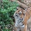 449sakanaのサムネイル