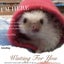 tako-marron-collonのサムネイル