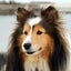 hiro.sのサムネイル
