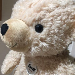 accoのプロフィール
