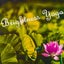 画像 足立区 西新井 伝統的なYOGA 『brightness-yoga』のユーザープロフィール画像