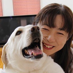 犬の介護で助けられてるグッズの数々 ペットの健康ケアハウス 犬といつまでも