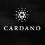 画像 CARDANO(カルダノ)の情報まとめブログのユーザープロフィール画像