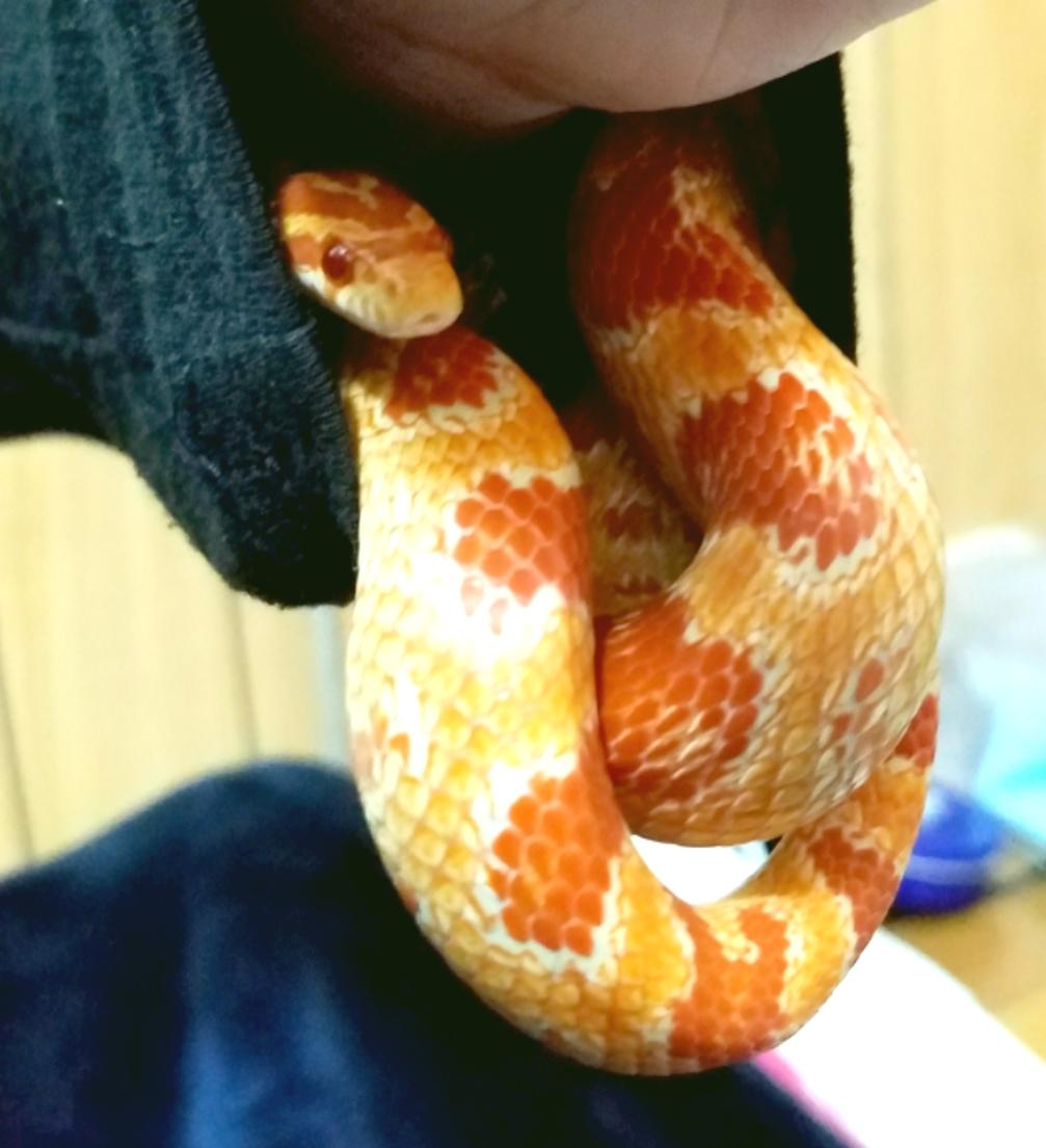 ♡さっちゃん♡